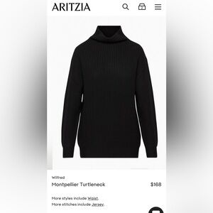 Aritzia Montpellier Turtleneck